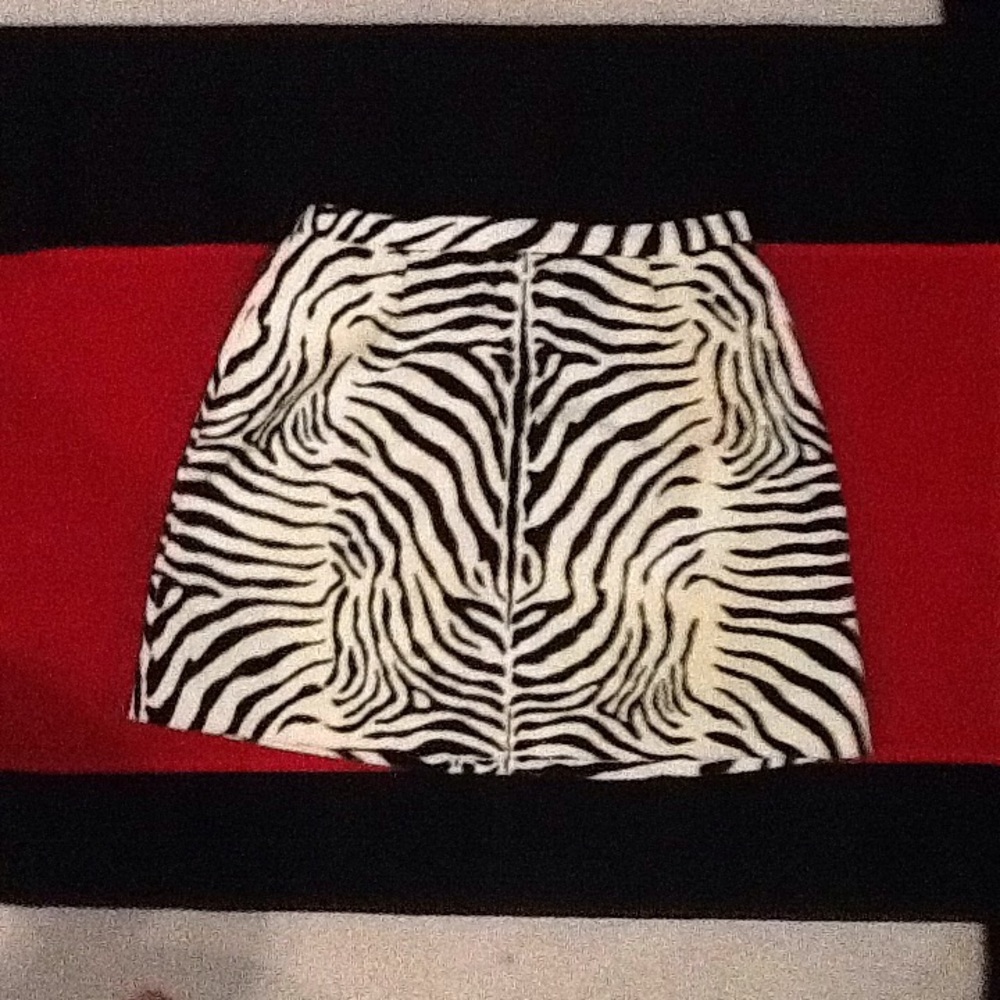 Zebra Strip Mini Skirt
